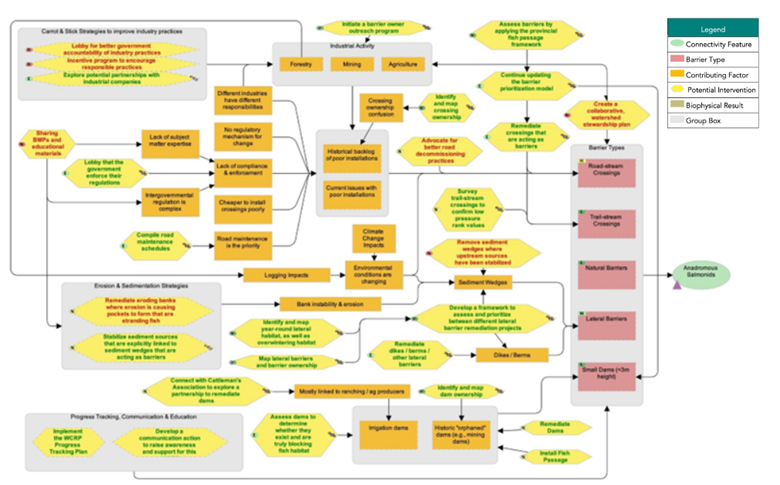 Figure 4: Situation analysis developed by the Planning Team to identify factors that contribute to fragmentation (orange boxes), biophysical results (brown boxes), and potential strategies/actions to improve connectivity (yellow hexagons) for focal species in the Horsefly River watershed.